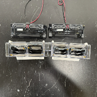 Invitrogen Mini Gel Tanks - Quantity 2 image 2
